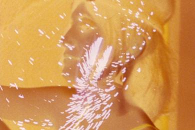 Chick Strand sesión 1