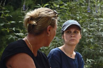 Historias del buen valle