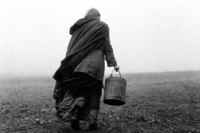 El caballo de Turín