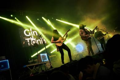 Gin Tonis