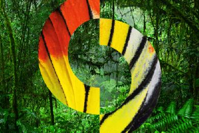 A Agadic subvenciona o festival Curtocircuíto nunha 15ª edición que reforza a exhibición de cinema galego