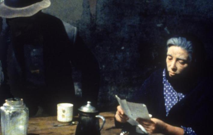 Histórias Selvagens+ Lluvia