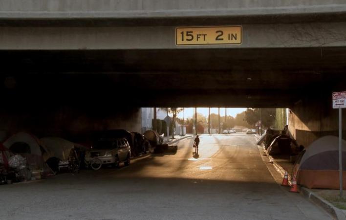 The United States of America 