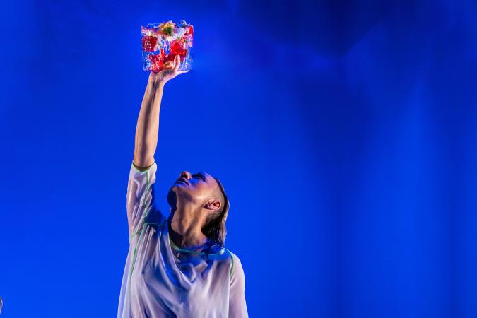 Galicia Escena PRO: Aurora Boreal