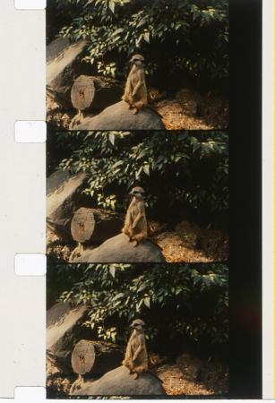 Jeannette Muñoz. Programa 1.