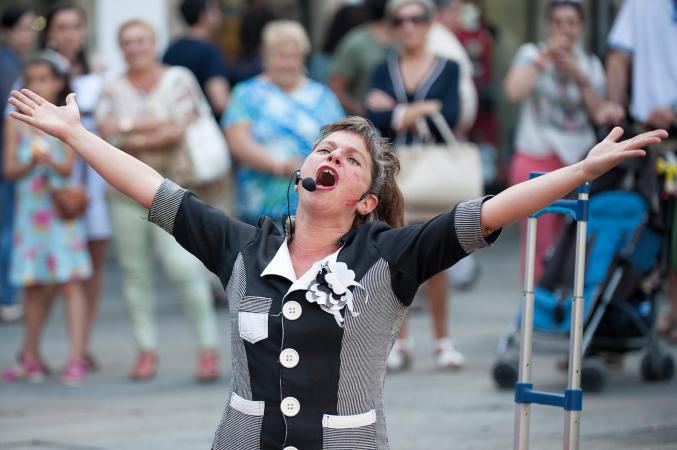 A vida tola de Pajarito