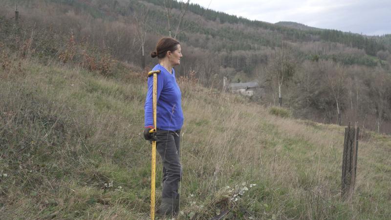 Nai + Véxote + Pura