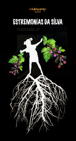 Estremonías da silva 