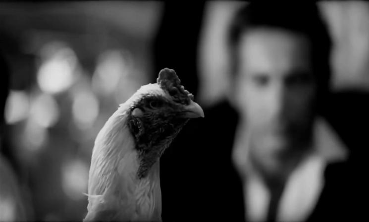 Este es el romance del Aniceto y la Francisca, de cómo quedó trunco, comenzó la tristeza y unas pocas cosas más...