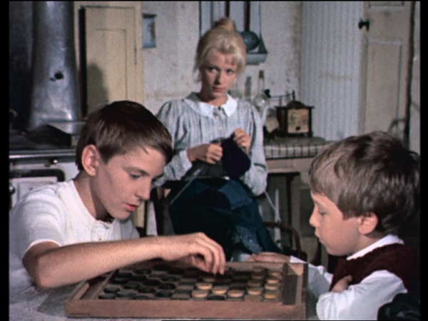 La casa del bosque caps 5 e 6