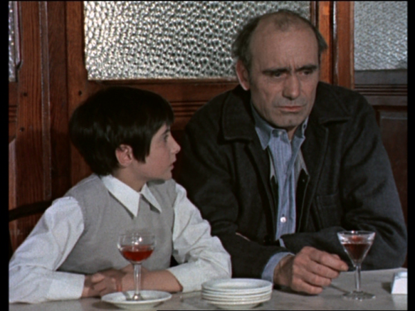 La casa del bosque - cap.7