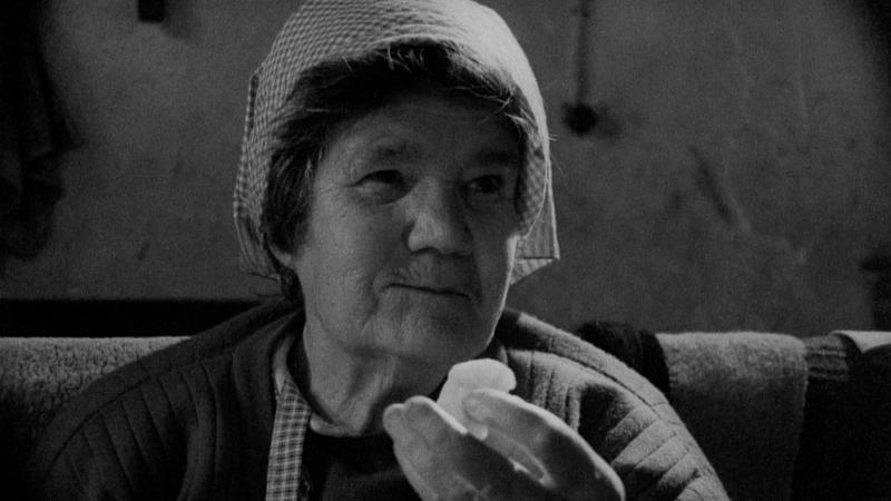 A Raia + Où est la jungle?