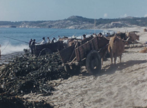 Por los caminos de España