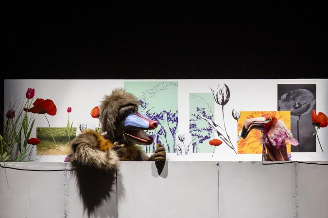 E entón, un xardín